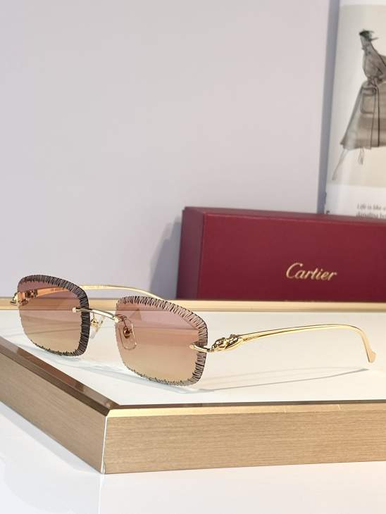 Picture of Cartier Sunglasses _SKUfw79683741fw